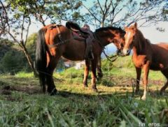 Finca La Cascada El Peñol - 位于AntioquiaEl Peñol的芬卡
